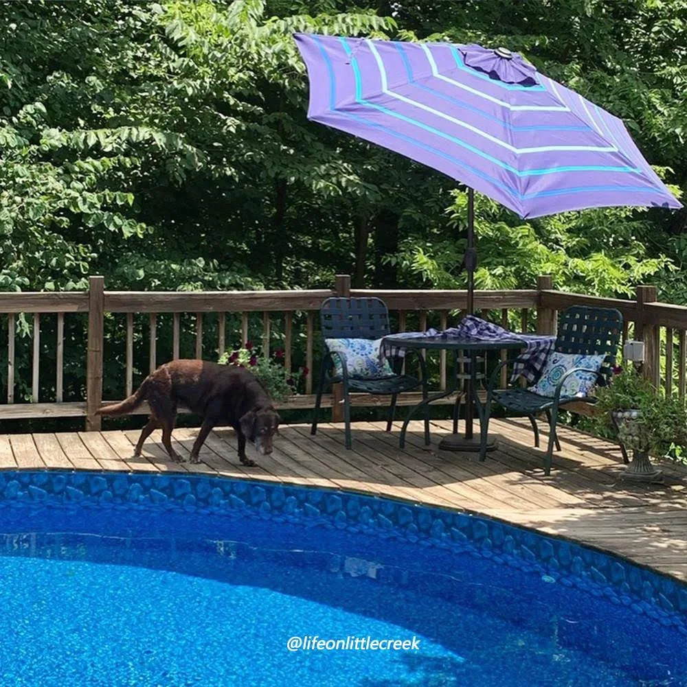 Abba Patio 9-Feet Patio Umbrella Outdoor Market Table Umbrella with Push Button Tilt and Crank, Turquoise Striped - Image 3
